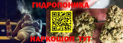 PSILOCYBIN Будённовск