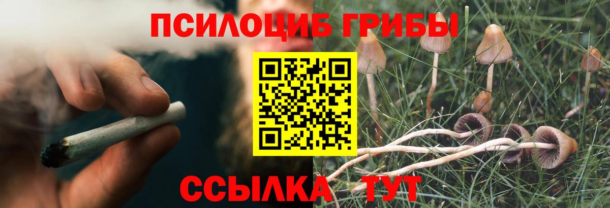 Псилоцибиновые грибы мухоморы  Галлюциногенные грибы Psilocybe  Туапсе  Вход с VPN 